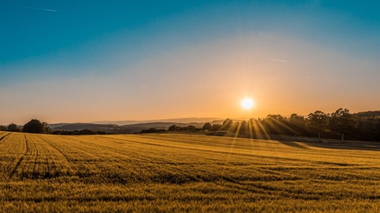 Cession de bail rural en Alsace : comment léguer votre exploitation agricole en toute légalité ?