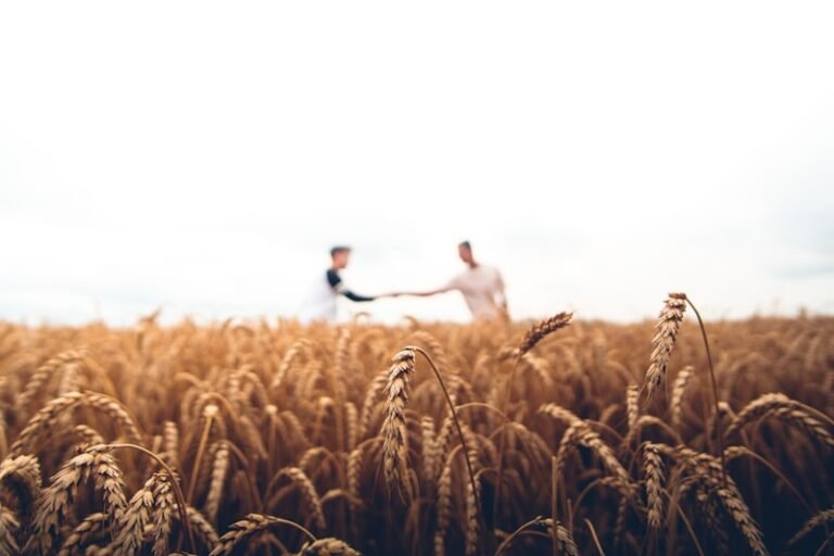Transmission d&rsquo;exploitation agricole : Guide complet pour les cédants et repreneurs